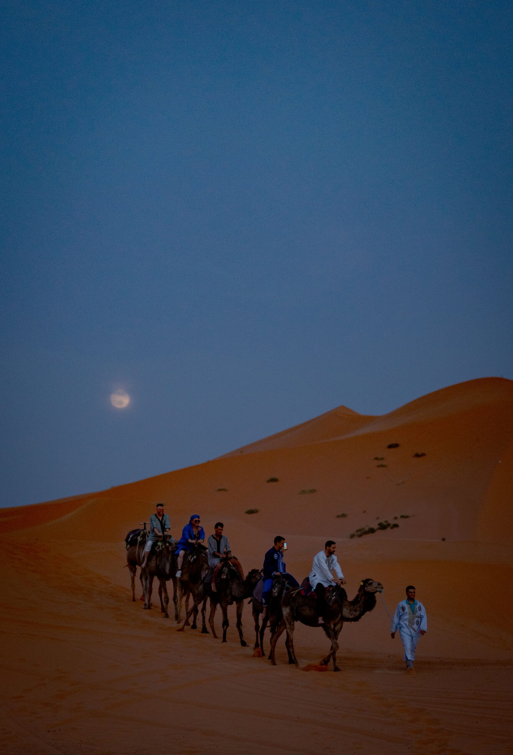 Golden dunes of the Sahara Desert near Merzouga, Morocco